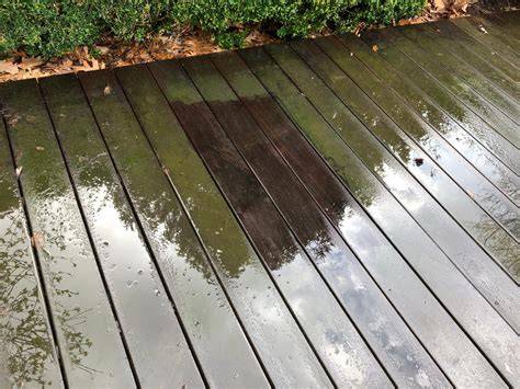 Illustratie van tapijtonderhoudsplan en stoomreiniging stappen
