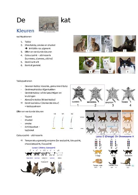 Kleurvariaties en weersbestendigheid buitenoppervlakken