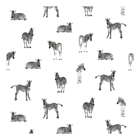 Een collage van Lilipinso producten, waaronder het zebra behang, posters en vloerkleden.