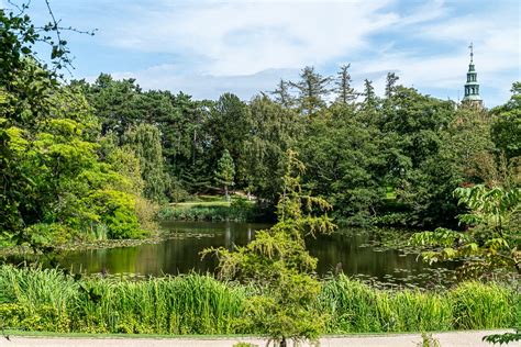 Rozentuin in de Botanische Tuin van Timaru met fontein
