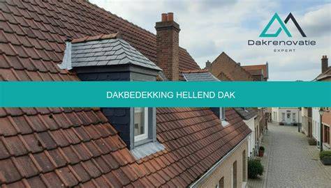Comparatieve infographic: dakbedekking opties