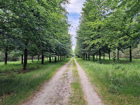 Kaart: Parkachtige omgeving en terplocatie Meander