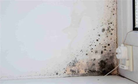 Schematische weergave van de oorzaken van vochtproblemen en uitbloei op metselwerk