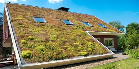 Vergelijking van een plat dak met groendak en een hellend dak met dakpannen.