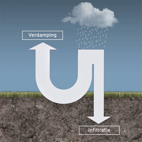 Diagram: Verharden versus infiltratie van regenwater