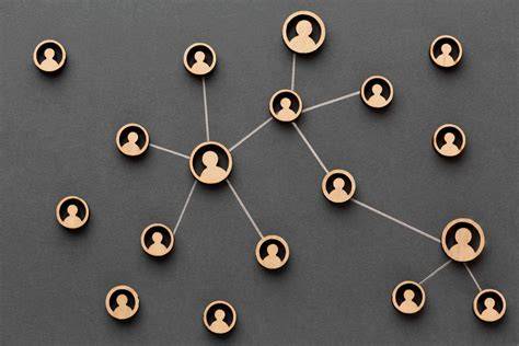 IN-netwerk en partneroverzicht