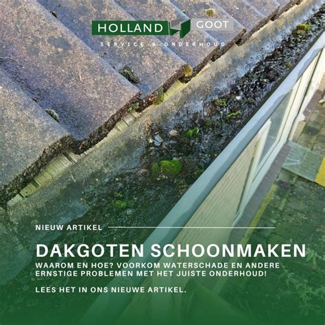 Overzicht van verschillende soorten schade aan dakgoten, zoals lekkages, doorhangen en roestplekken.