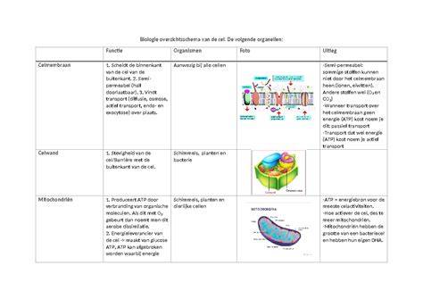 Diagram van funderingslagen en functies