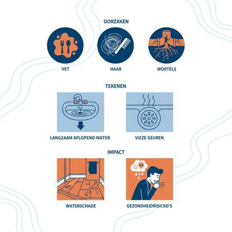 Infographic: Typische oorzaken van rioolverstoppingen en snelle oplossingen