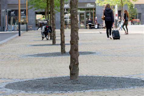 Schema van wortelruimte voor bomen in verharding