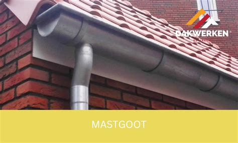 Diagram: Verschillende goottypen (bakgoot, mastgoot) en hun kenmerken