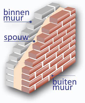 Verkennende infographic: routes van wespen in een spouwmuur