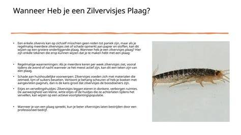 Informatiekaart: wanneer wel/niet zelf bestrijden