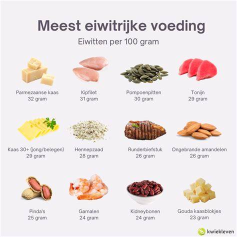 Infographic: basisprincipes van het Paleo dieet (eiwitten, koolhydraten, vetten)