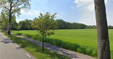 Groen en hoogbouwenterieur in een groen-lint langs de Dalweg