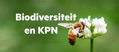 Blauw-groene infrastructuur en biodiversiteit in Soest