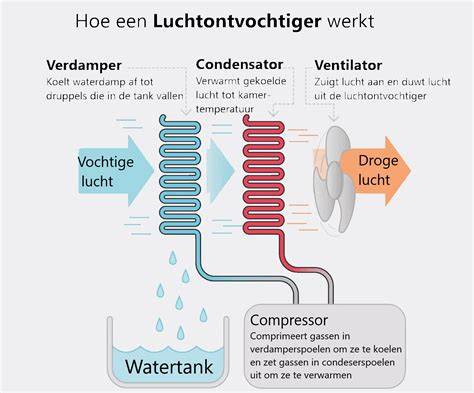 Infographic: Schematische werking van een luchtontvochtiger