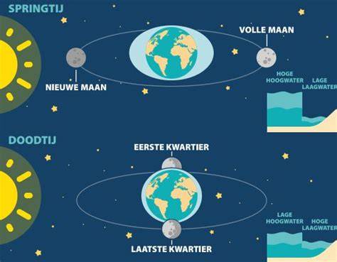 Infographic: oorzaken van eb en vloed (maan, zon, aarde)