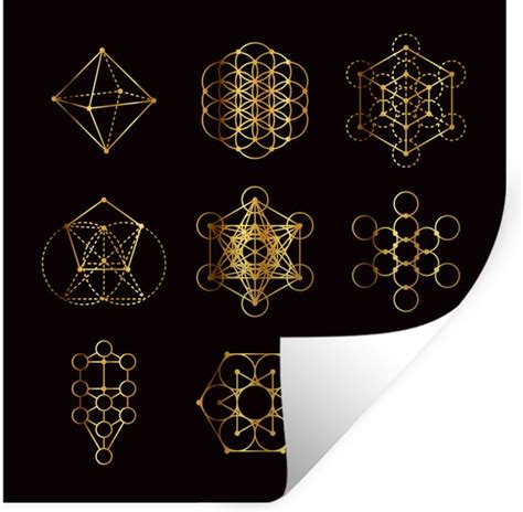 Een collage van diverse muurstickers: teksten, natuurmotieven, geometrische vormen en kinderthema's.