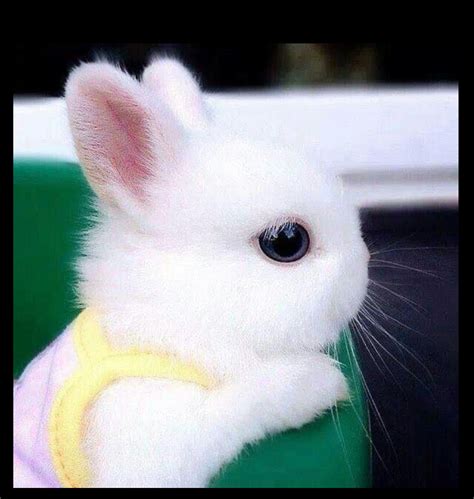 Een muur met een gedetailleerd fresco-behang dat een beroemd schilderij uitbeeldt.