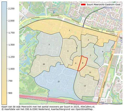 Infographic: Kaart van winkelcentrum Meerzicht en herinrichting