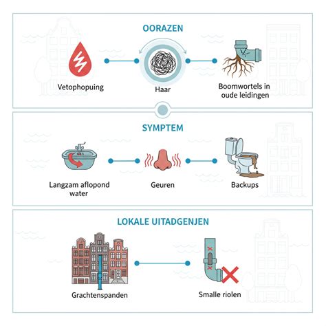 Infographic over veelvoorkomende oorzaken van lekkages en verstopte leidingen