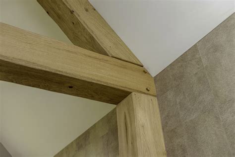Close-up van vleermuisuitwerpselen (guano) op een houten balk