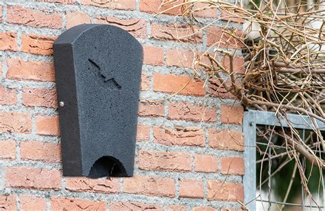 Illustratie van een vleermuiskast die aan een boom hangt