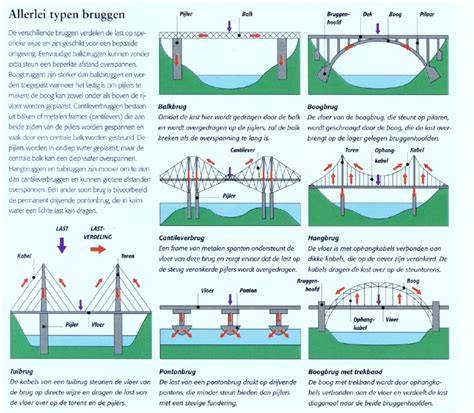 Infographic over verschillende beugeltypes en hun draagkracht