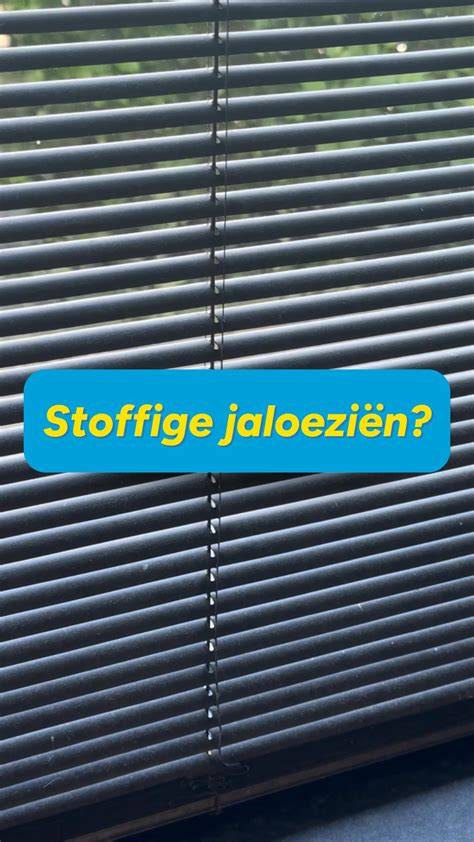 Schoonmaak- en onderhoudsgids voor jaloezieën infographic