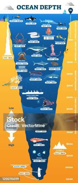Infographic: toepassingsgebieden onderwater en natte ruimten