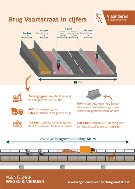 Infographic: Hoofdkenmerken van de brug en verkeerscapaciteit
