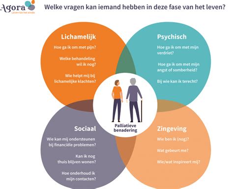 Infographic: Vier hoofdfases van gevelhout schilderen