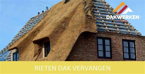 Infographic over rieten daken en hun voordelen in tuinhuisjes
