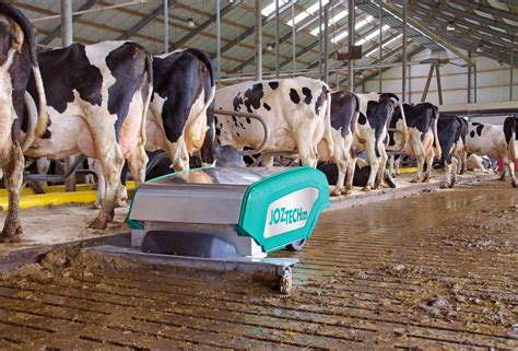 Infographic: Werking mestrobot Barn-E op dichte vloeren