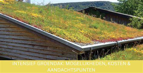Kolomdiagram: kosten extensief vs. intensief groendak
