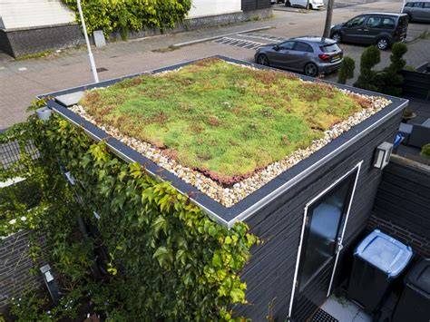 Checklijst: dakvoorwaarden voor groendak