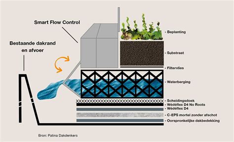 Illustratie van hoe een groen dak regenwater absorbeert en verdamping bevordert.