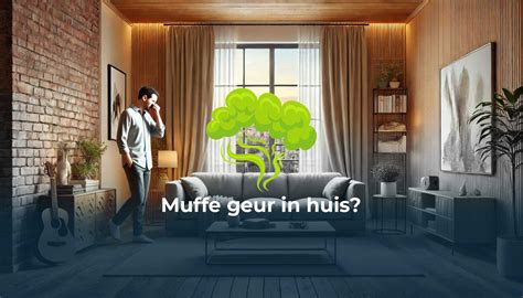 Infographic: oorzaken van muffe geur in huis