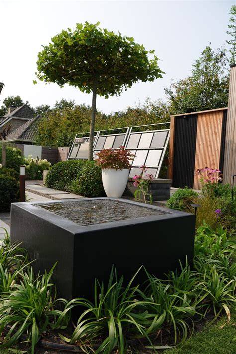 Showtuin en adviespunten