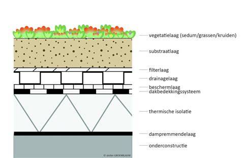Groendak-illustratie met wortelbestendige onderlaag