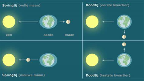 Infografiek: Hoe eb en vloed werken (maan, zon, aarde, watermassa's)