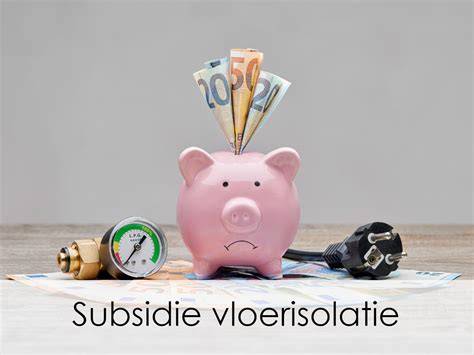 Infographic: Prijsrange en subsidies voor vloerisolatie