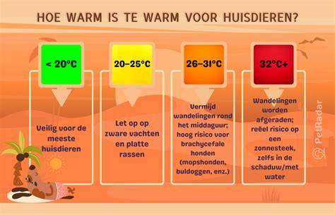 Infographic: Maximaal veilige temperaturen per vloertype en aanvoerwater