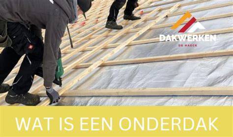 Infographic over DAK-park en OnderDAK- locaties en activiteiten