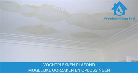 Infographic: Oorzaken en oplossingen van vochtplekken op plafonds