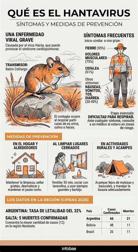 Infographic over hantavirus en muizenpreventie