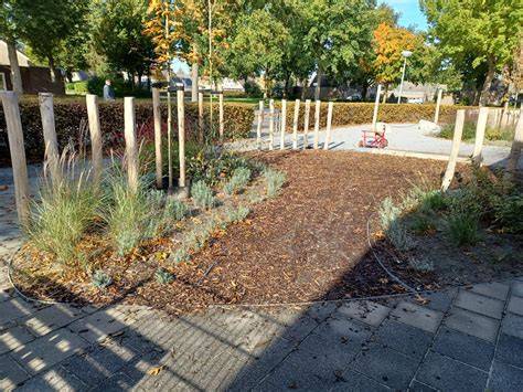 Voorbeeldopstelling met engelenbeelden op sokkels en tussen beplanting