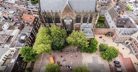 Infographic: bouwfasen Domtoren en Domkerk door de eeuwen