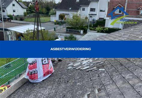 Kostenverdeling asbestverwijdering: overzicht van onderdelen